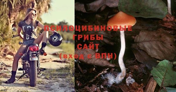 бутират Баксан