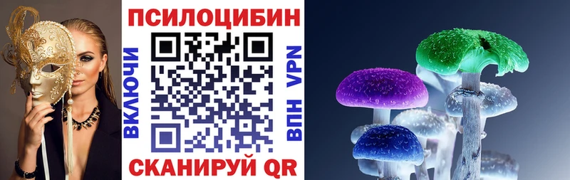 Псилоцибиновые грибы мицелий  магазин    OMG сайт  Заозёрск 